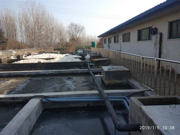 屠宰場(chǎng)泡沫 屠宰場(chǎng)泡沫