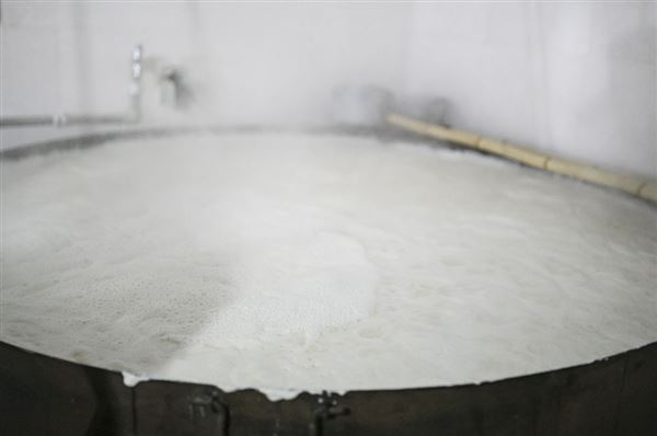 豆制品泡沫 豆制品泡沫