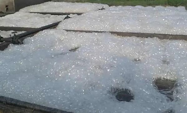 泡沫.jpg 泡沫.jpg