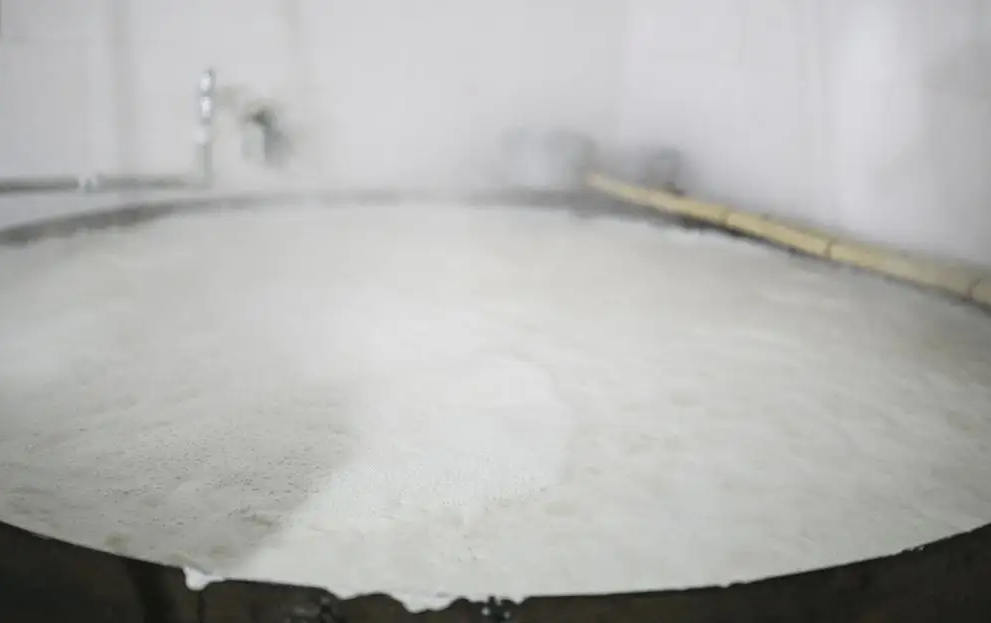 豆制品泡沫.png 豆制品泡沫.png