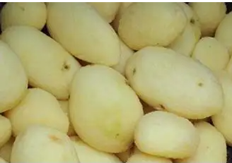 土豆清洗泡沫.png 土豆清洗泡沫.png